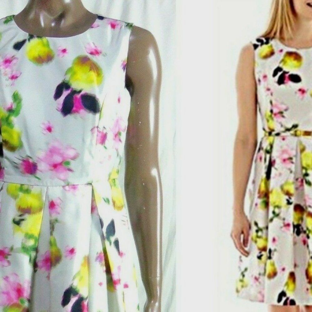 Liz Claiborne Watercolor Floral Sleeveless Fit & Flare Dress Gray Multi Size 10